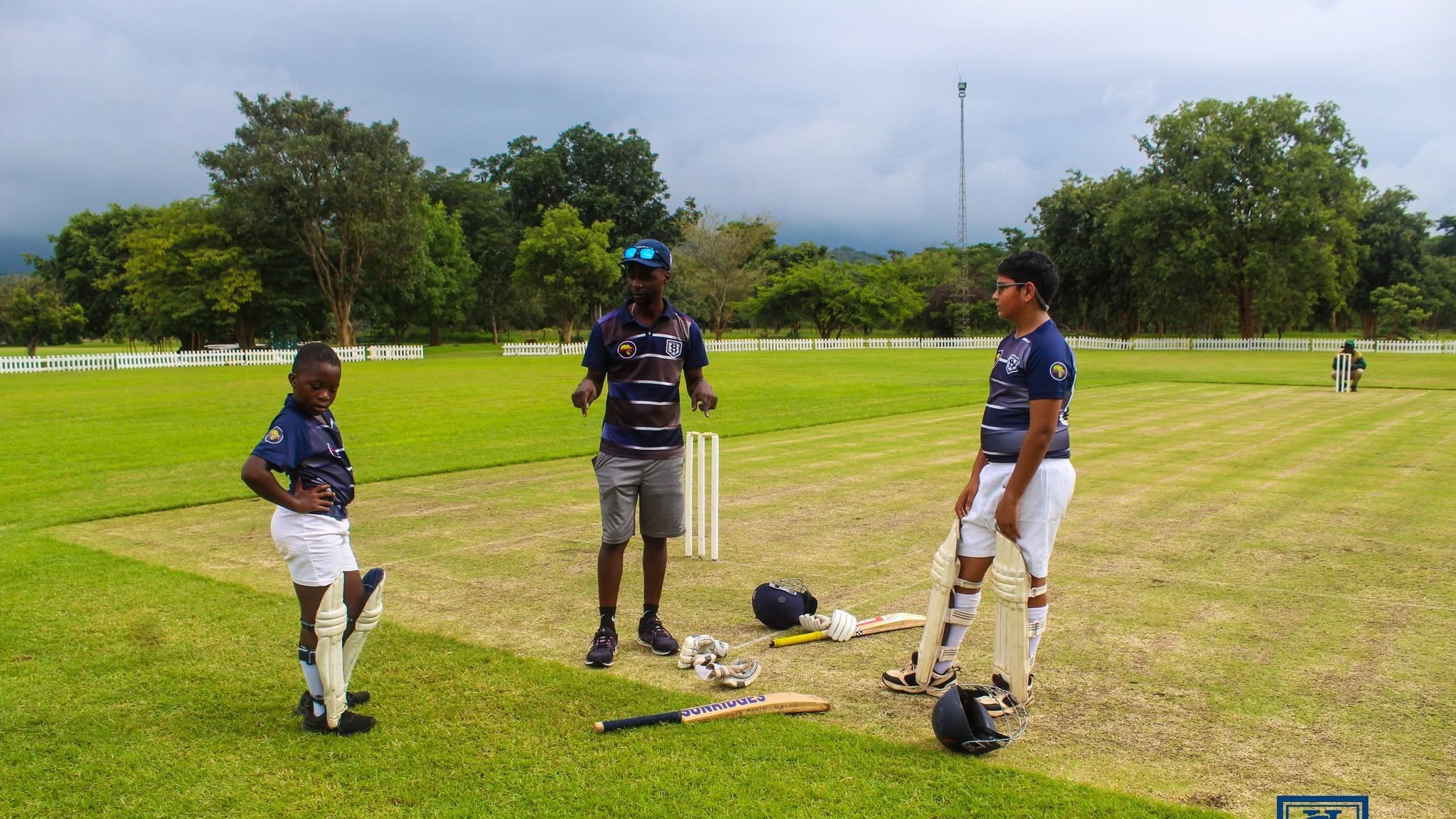 Cricket